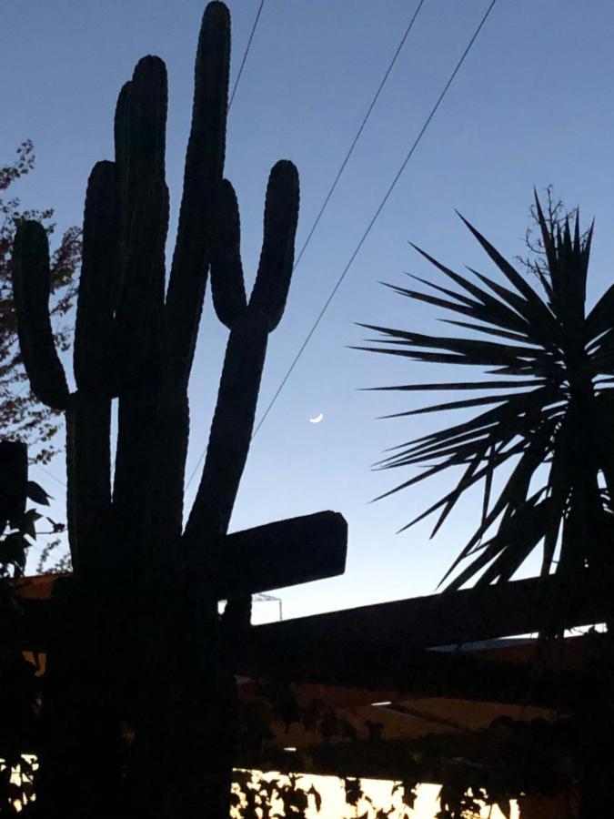 La Casita Del Cactus - Casa De Campo Con Piscina Alcalá de Guadaira Zewnętrze zdjęcie