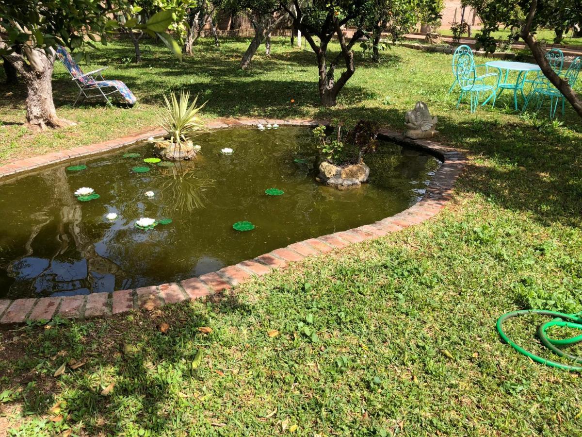 La Casita Del Cactus - Casa De Campo Con Piscina Alcalá de Guadaira Zewnętrze zdjęcie