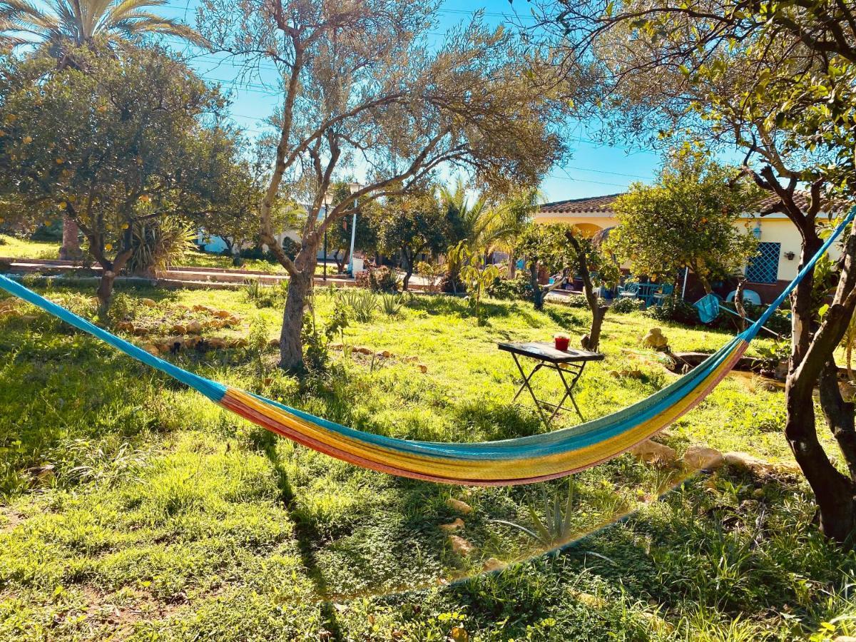 La Casita Del Cactus - Casa De Campo Con Piscina Alcalá de Guadaira Zewnętrze zdjęcie
