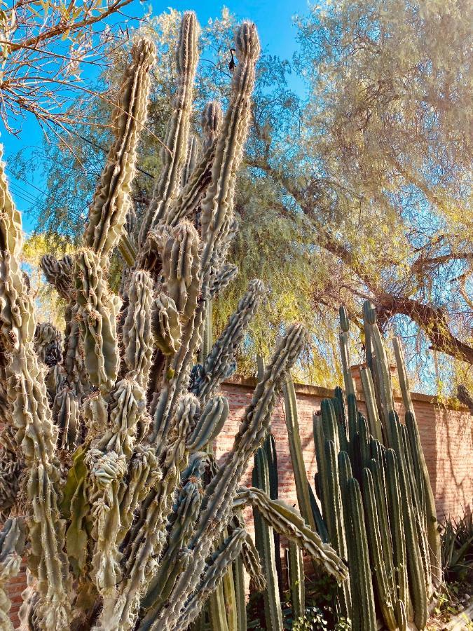 La Casita Del Cactus - Casa De Campo Con Piscina Alcalá de Guadaira Zewnętrze zdjęcie