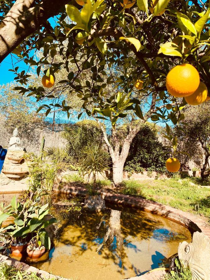 La Casita Del Cactus - Casa De Campo Con Piscina Alcalá de Guadaira Zewnętrze zdjęcie